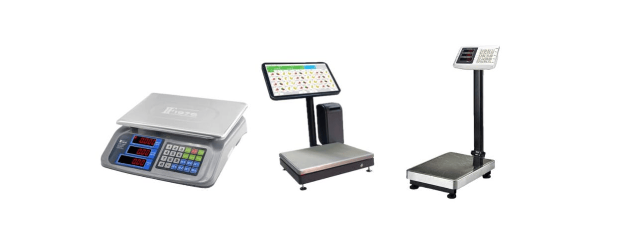 About Fong Chan Scvale Works